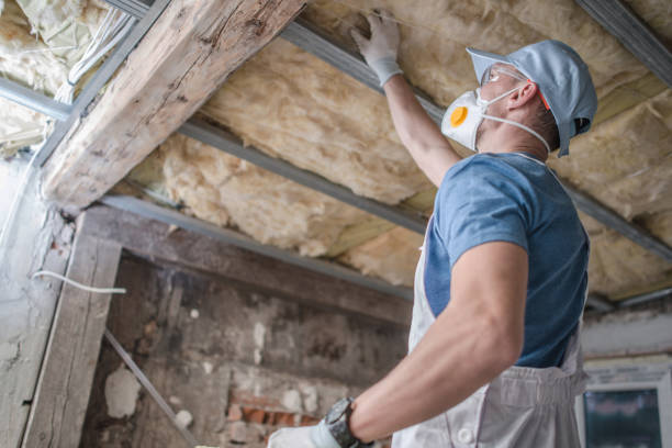 Best Professional Insulation Contractor  in Mentor, OH