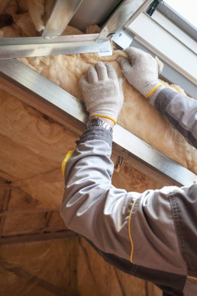 Best Insulation Replacement Services  in Mentor, OH