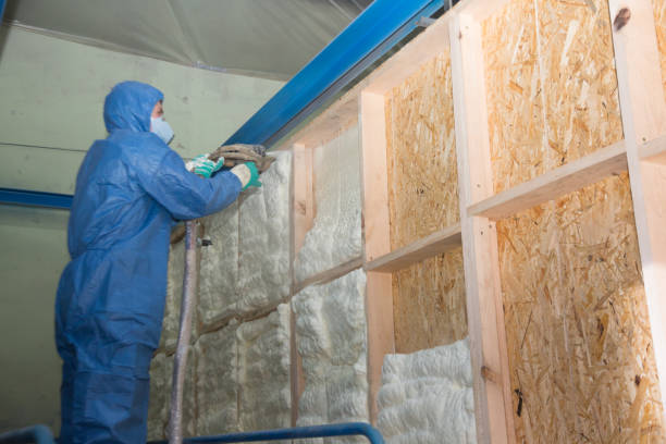 Best Insulation for New Construction  in Mentor, OH